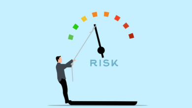 risk, management, assessment