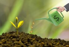 investment, watering can, dollar