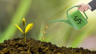 investment, watering can, dollar