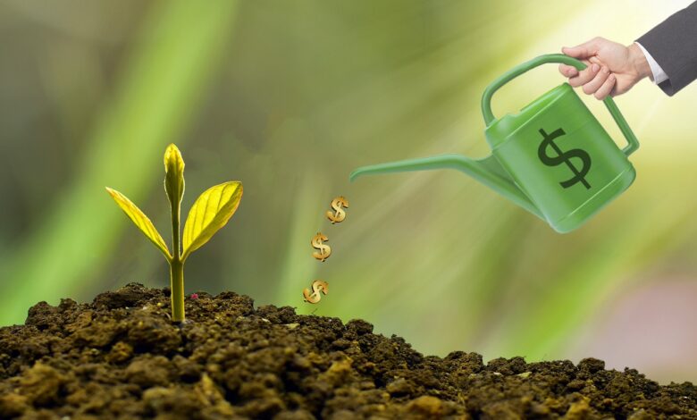 investment, watering can, dollar