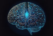 cyber brain, computer, brain, the internet, web3, 0, blockchain, cyber, artificial intelligence, brain, brain, brain, brain, brain, artificial intelligence, artificial intelligence, artificial intelligence, artificial intelligence